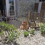 Au Repos Des Troubadours- Carcassonne